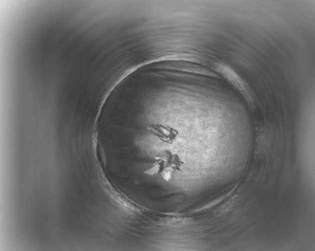 X0000071761284200607142353