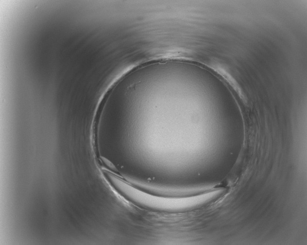 X0000071761285200607142353