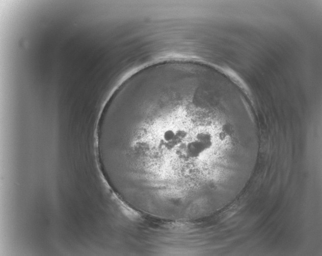 X0000071761287200607142353