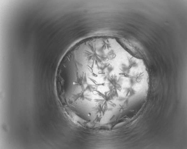 X0000071761288200607142353