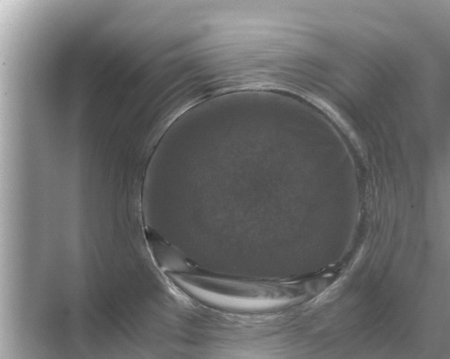 X0000071761289200607142353