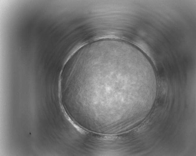 X0000071761290200607142353