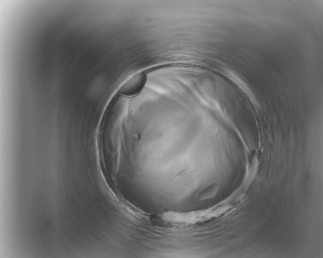 X0000071761291200607142353