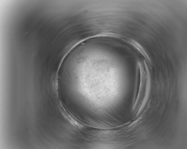 X0000071761292200607142353