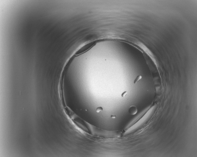 X0000071761293200607142352