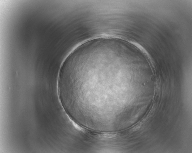 X0000071761294200607142352