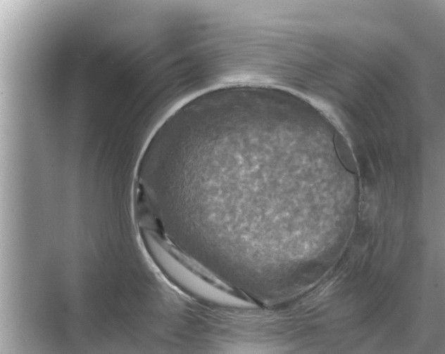 X0000071761295200607142352