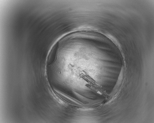 X0000071761296200607142352