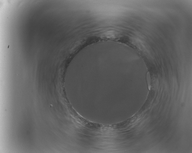 X0000071761297200607142352