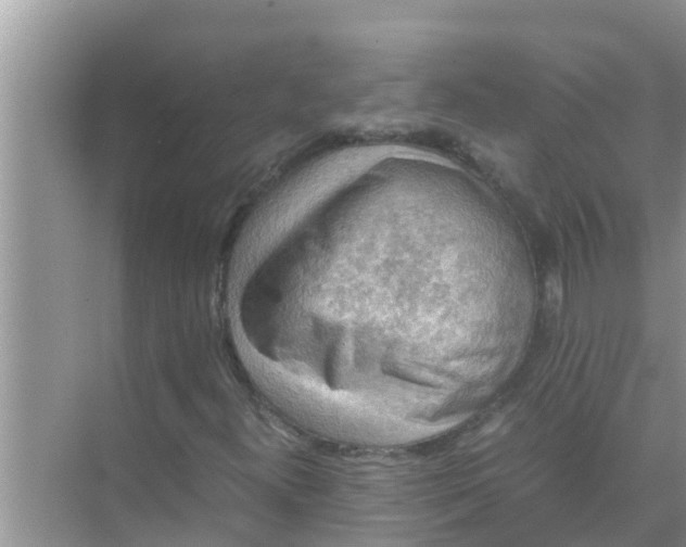 X0000071761300200607142352