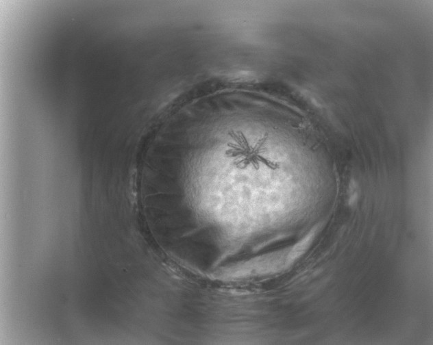 X0000071761301200607142352