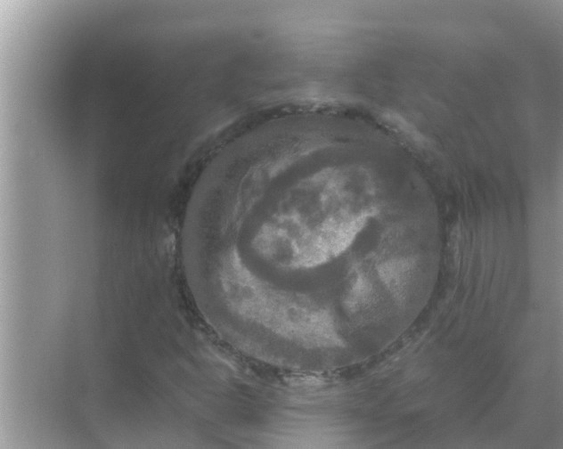 X0000071761302200607142352