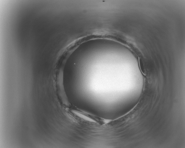 X0000071761304200607142352