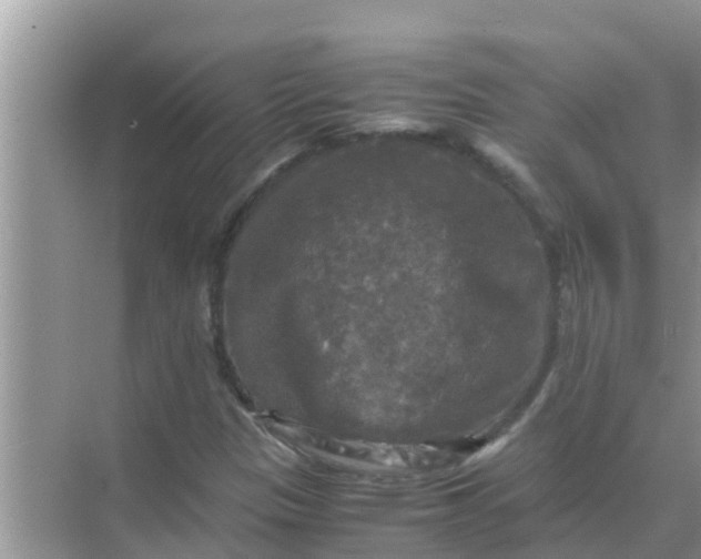 X0000071761305200607142352