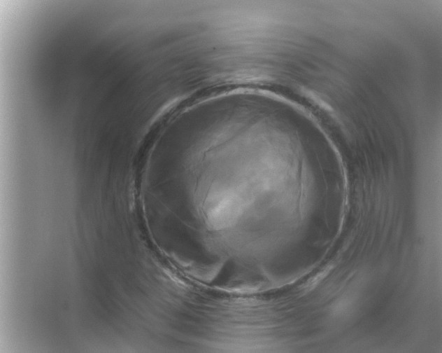 X0000071761306200607142352