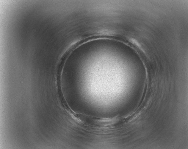 X0000071761307200607142352