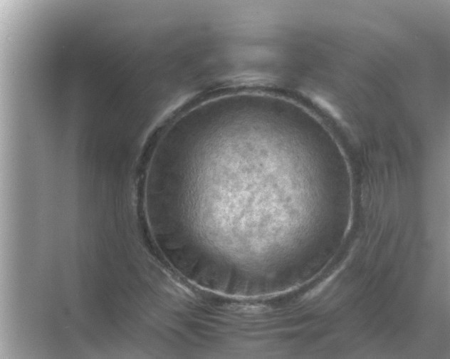 X0000071761309200607142352