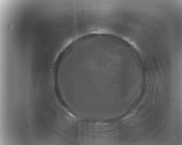 X0000071761311200607142352