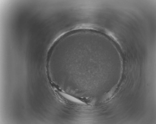 X0000071761312200607142352