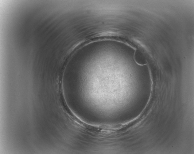 X0000071761313200607142352