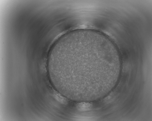 X0000071761314200607142352