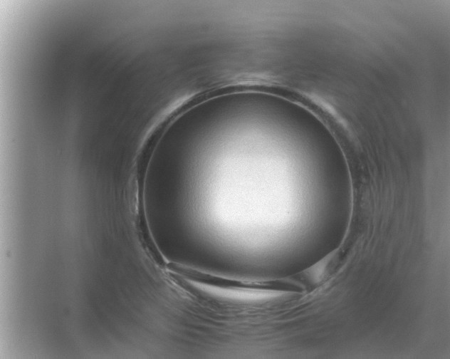 X0000071761317200607142352