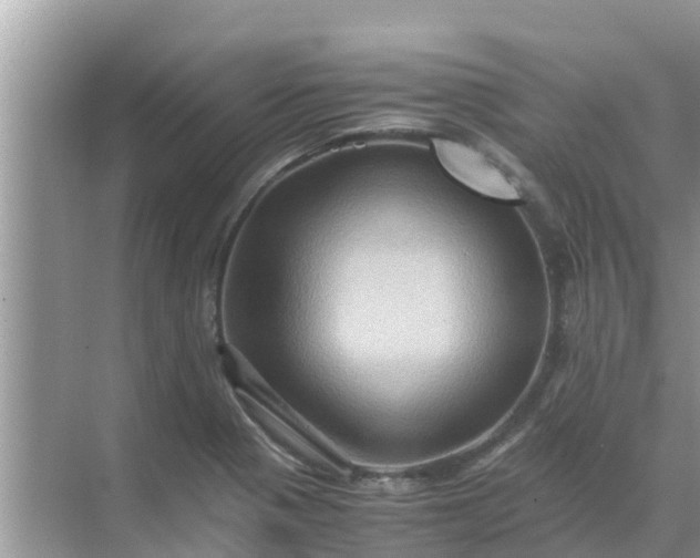 X0000071761321200607142352