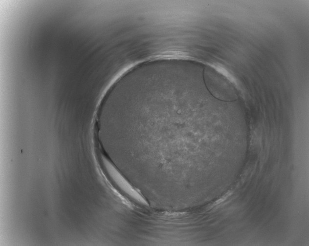 X0000071761325200607142352