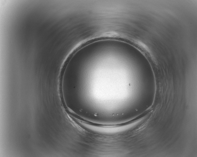 X0000071761326200607142352