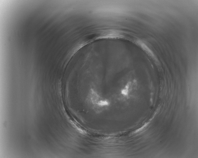 X0000071761329200607142352