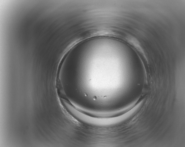 X0000071761330200607142352