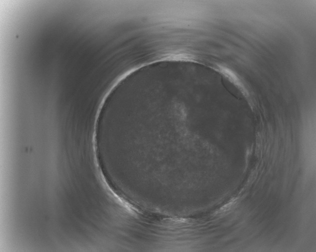 X0000071761331200607142352