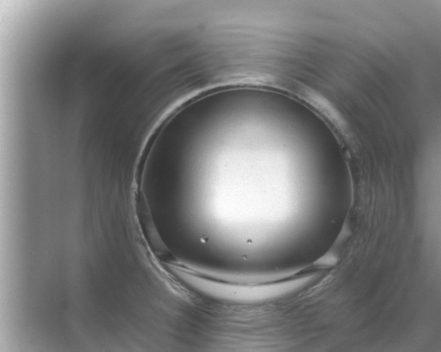 X0000071761332200607142352