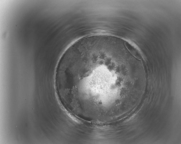 X0000071761333200607142352