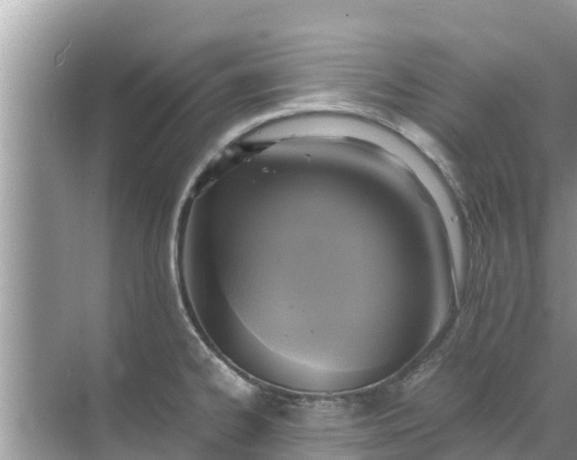 X0000071761334200607142352