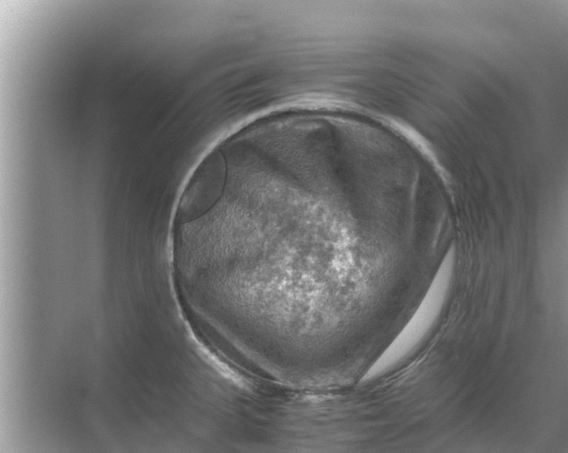 X0000071761335200607142352