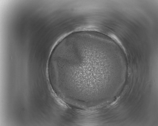 X0000071761336200607142352