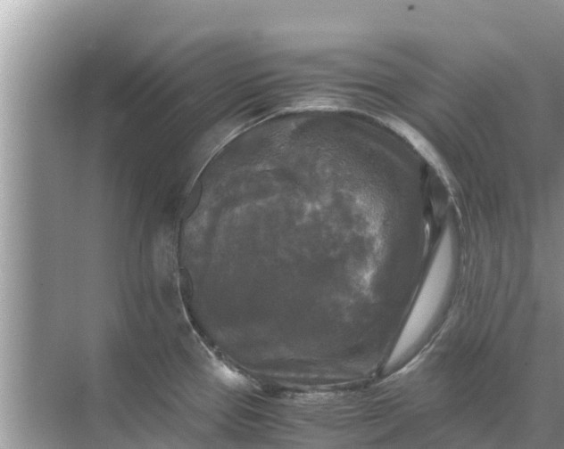 X0000071761337200607142352