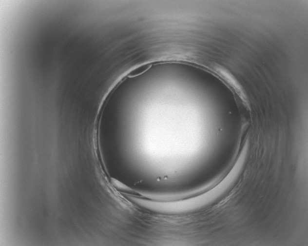 X0000071761340200607142352