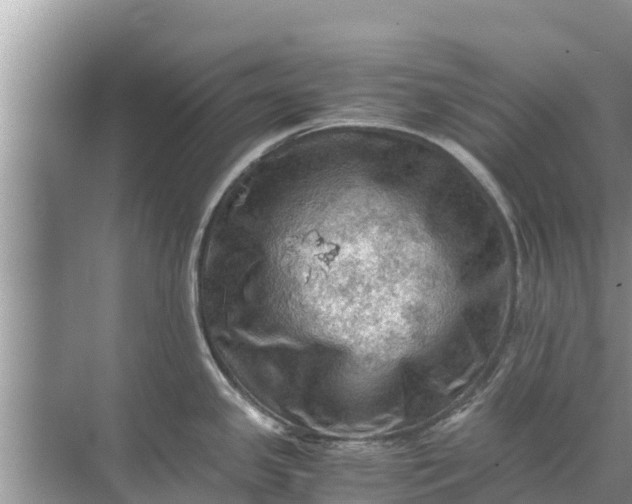 X0000071761341200607142352