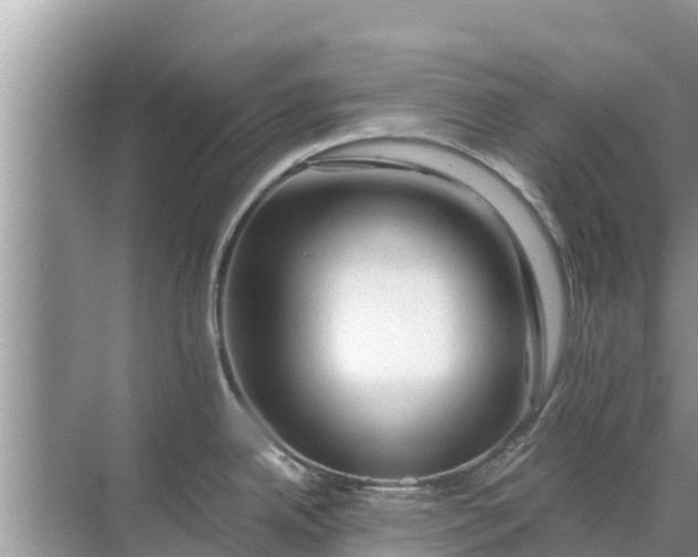 X0000071761342200607142352