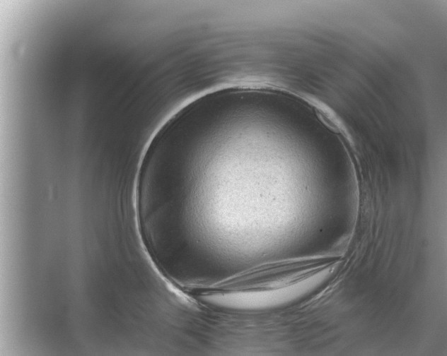 X0000071761343200607142352