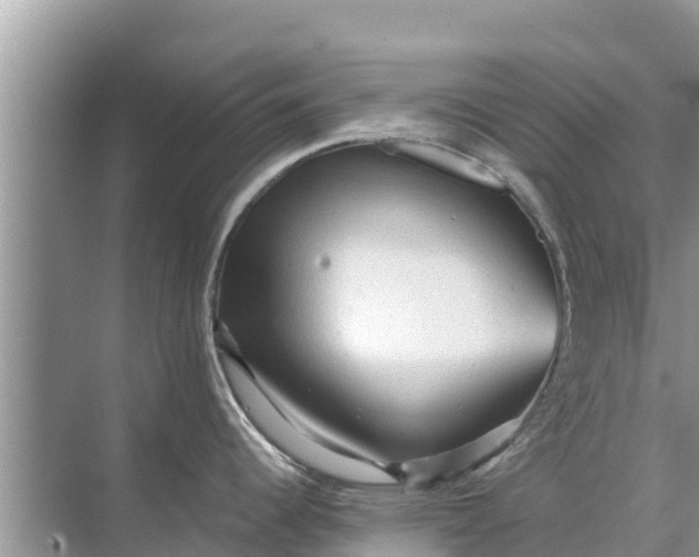 X0000071761344200607142352