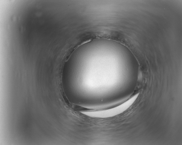 X0000071761345200607142352