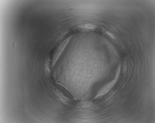 X0000071761346200607142352