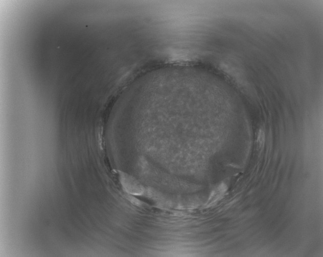 X0000071761348200607142352