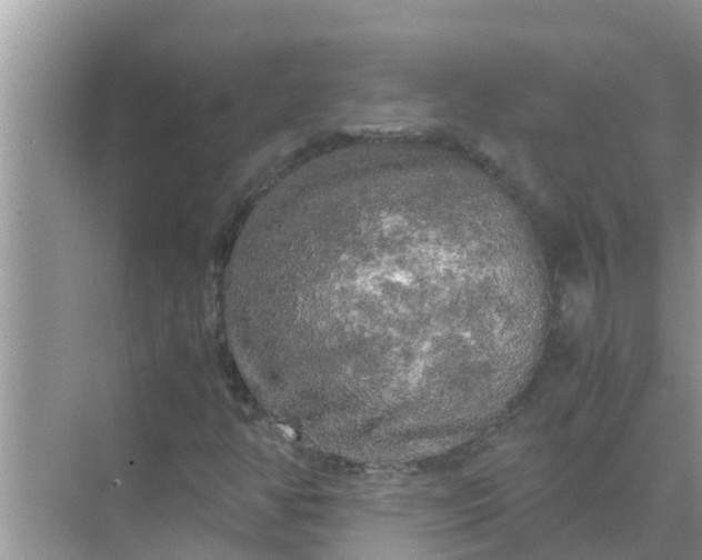 X0000071761350200607142352