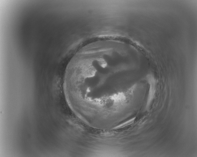 X0000071761351200607142352