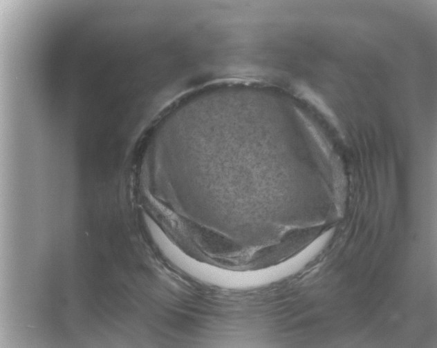 X0000071761352200607142352