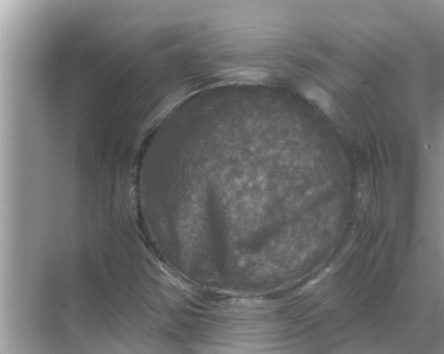 X0000071761354200607142351